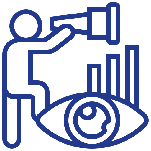 Vision